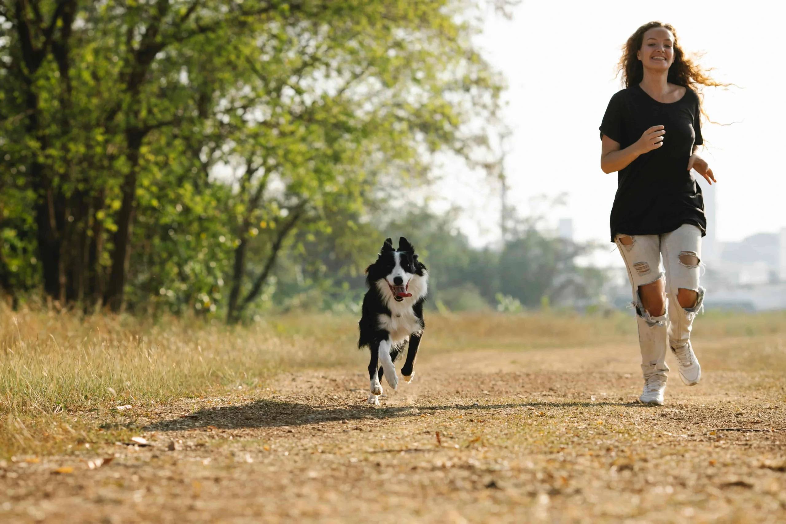 So starten Sie sicher mit Ihrem Hund zu laufen